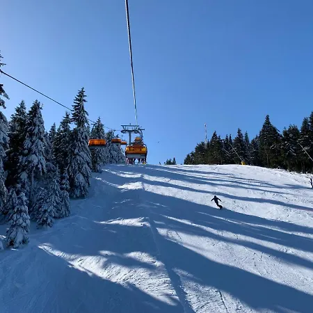 Petra Klinovec * Loučná pod Klínovcem